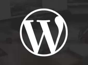 WordPress速度优化经验 - 登山亦有道